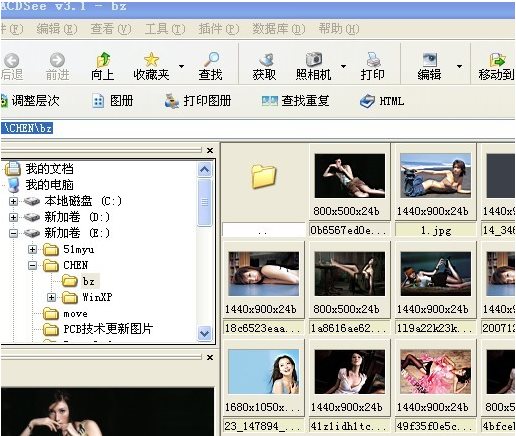 ACDSee绿色版