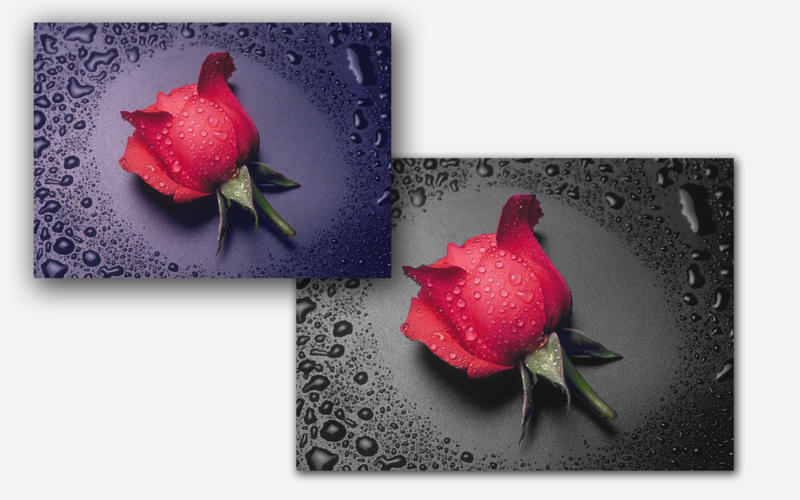 mac图片处理软件|Colorful for Mac v1.1.0 mac版