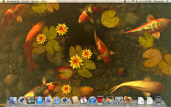 Koi Pond 3D