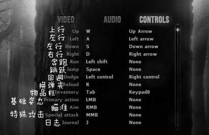 阴暗森林汉化版