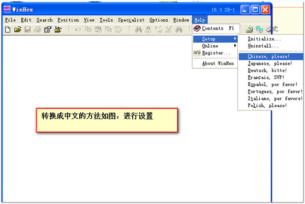 winhex中文版