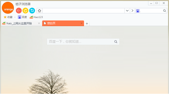桔子浏览器