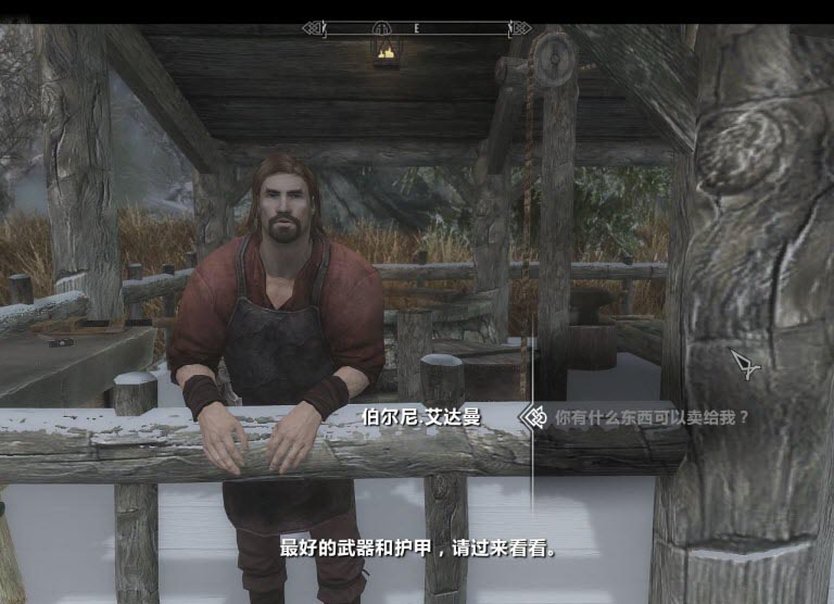 上古卷轴5铁匠铺MOD