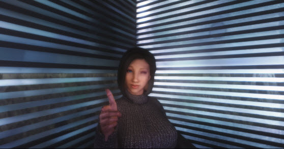上古卷轴5表情mod