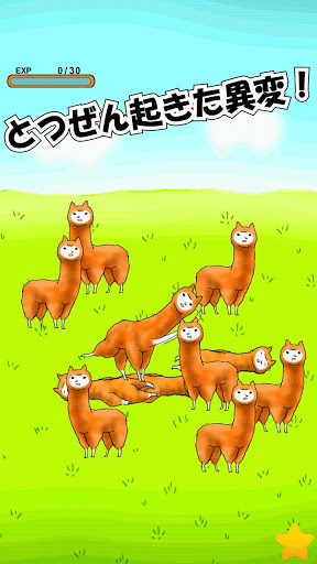 羊驼兄贵安卓版