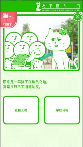 某猫的一天中文版