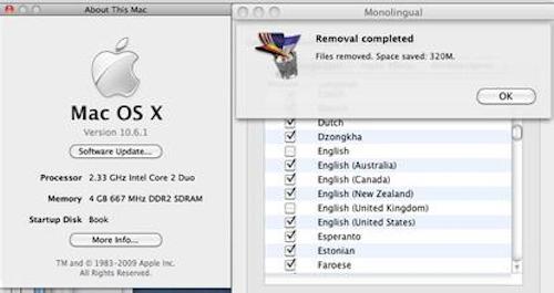 monolingual