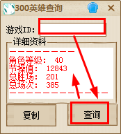 300英雄战绩查询器