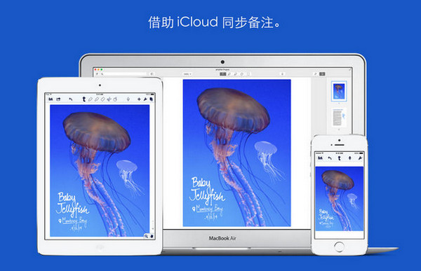 notability