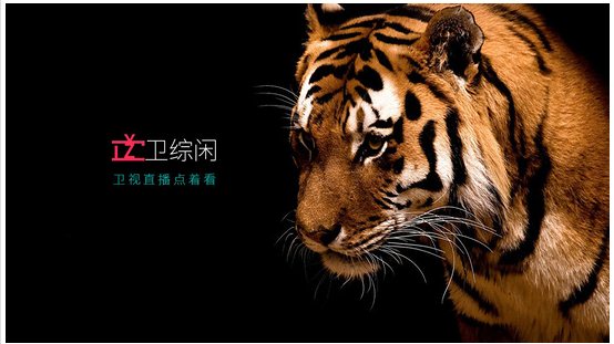卫综闲下载