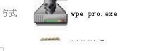 wpe中文版