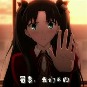 远坂凛表情包