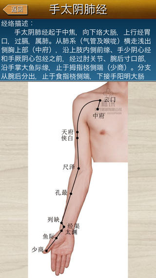 经络穴位图解软件