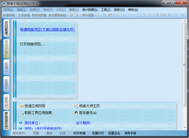 税审大师