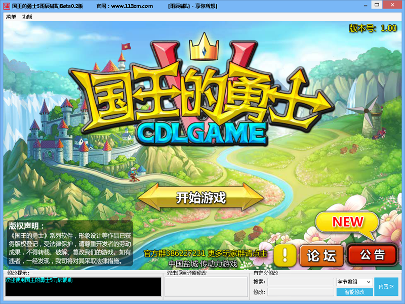 国王的勇士5辅助