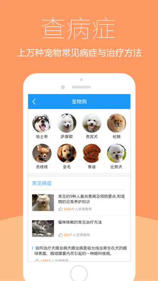爱宠医生