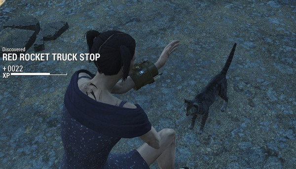辐射4宠物猫mod