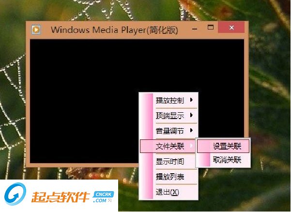 飞龙视觉播放器下载