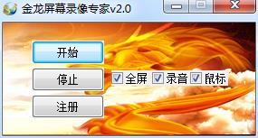 金龙屏幕录像专家