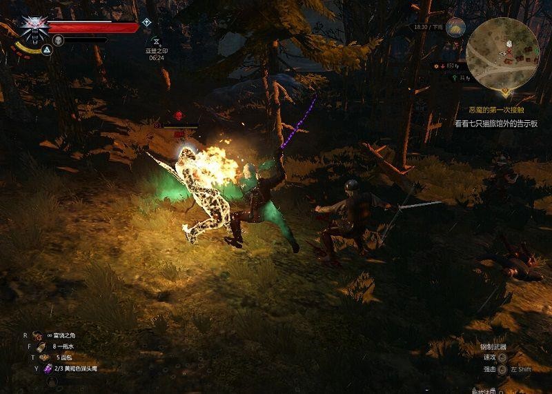 巫师3公主铲子MOD