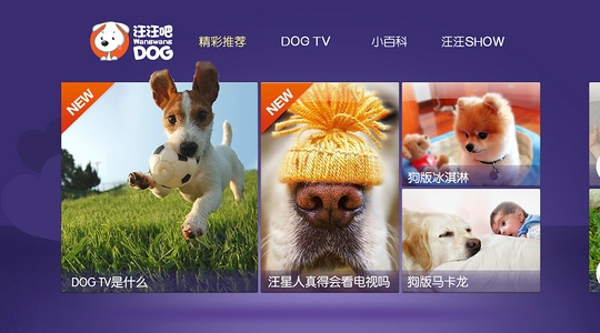汪汪吧