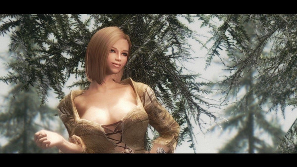 上古卷轴5圣骑士随从艾莉瑟拉MOD