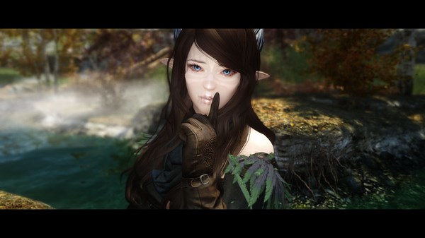 上古卷轴5天际随从召唤师琳恩MOD