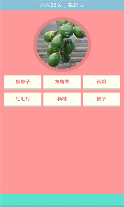 疯狂猜水果游戏|疯狂猜水果下载 v6.6.5 安卓版