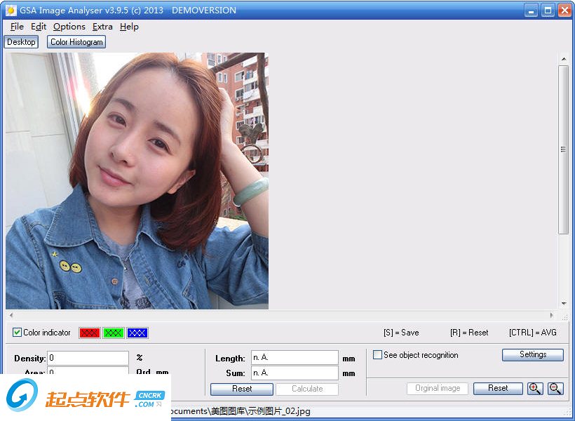 GSA Image Analyser 