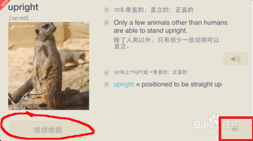 百词斩电脑版下载|百词斩电脑版 V5.1.8 最新版