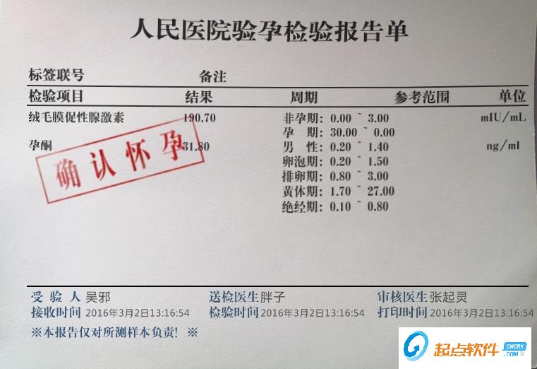 验孕报告恶搞器
