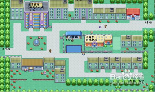 口袋妖怪叶绿386