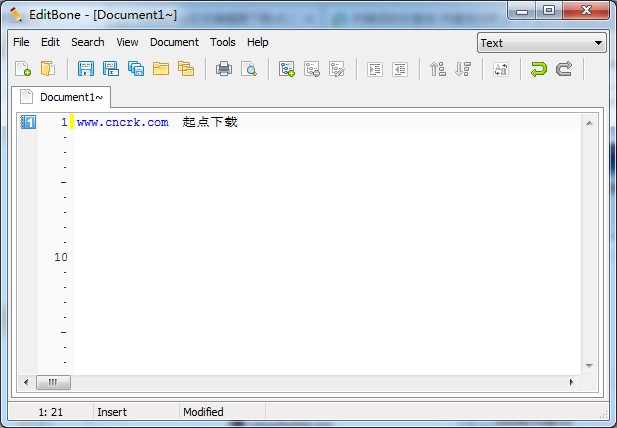 EditBone