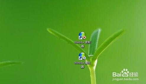 WebEx播放器