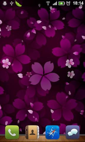樱花飘零壁纸