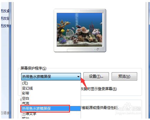 热带鱼屏保下载
