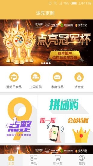 派先定制app