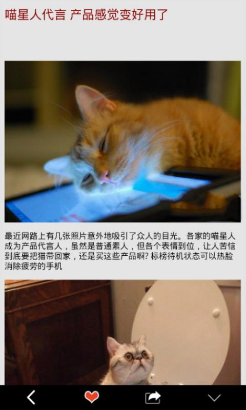 乐活麻花