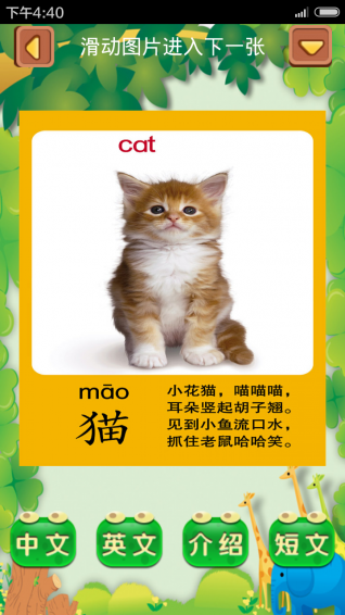 宝宝爱动物