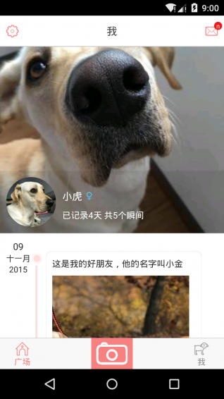 宠物日记app