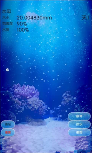 治愈的养成水母汉化版 