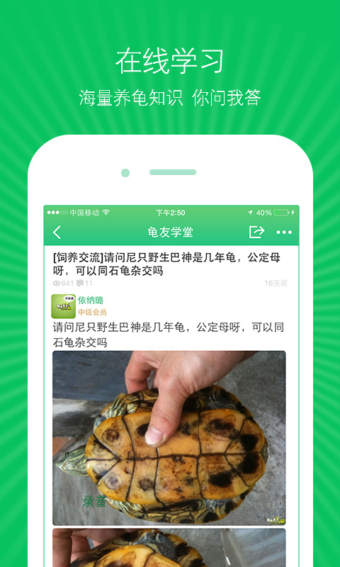 龟友天下