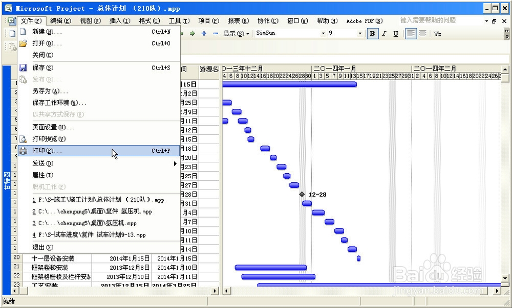project 2007下载