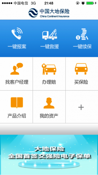 中国大地保险