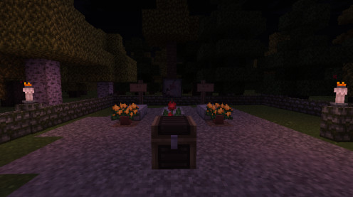 我的世界解密地图