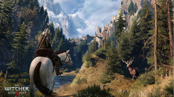 巫师3道具栏修正补丁