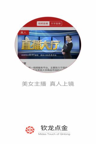 钦龙点金