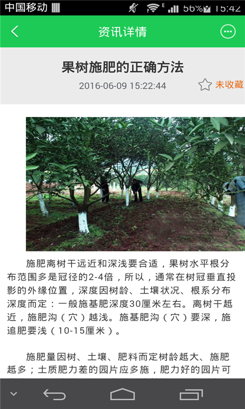 掌上植物叶面肥