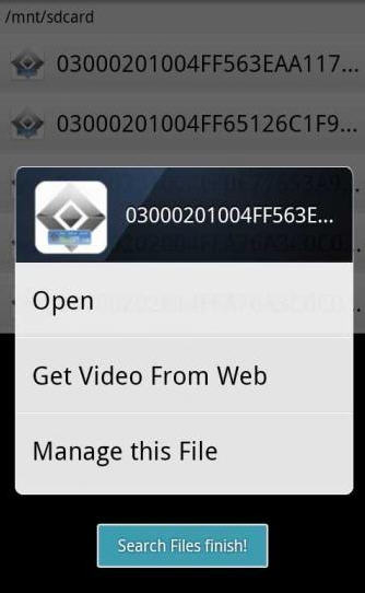 FLV Media Player