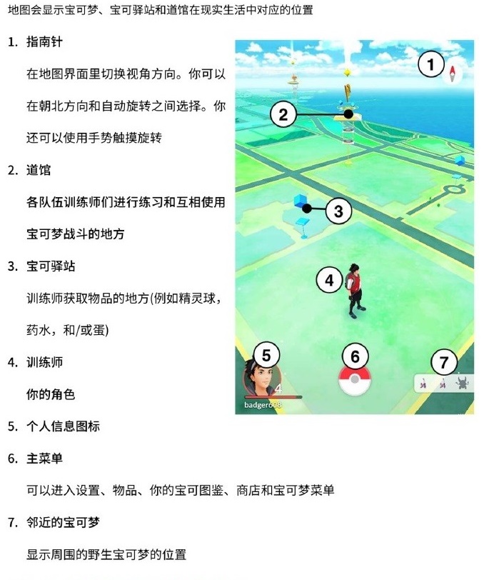 精灵宝可梦go